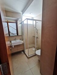 Springleaf Avenue (D26), Terrace #366520931
